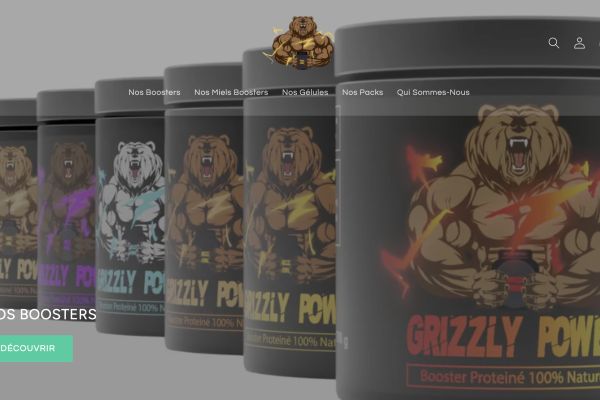 Aperçu du projet Grizzly Power